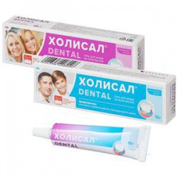 Холисал Дентал для ухода за полостью рта 1 шт. гель 15 г