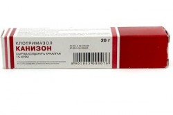 Канизон крем д/наружн. прим. 1% 20 г 1 шт.