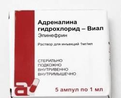 Адреналина гидрохлорид-Виал, р-р д/ин. 1 мг/мл 1 мл №5 ампулы