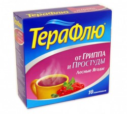 ТераФлю пор. д/р-ра д/приема внутрь 11.5 г / 11.6 г 10 шт.